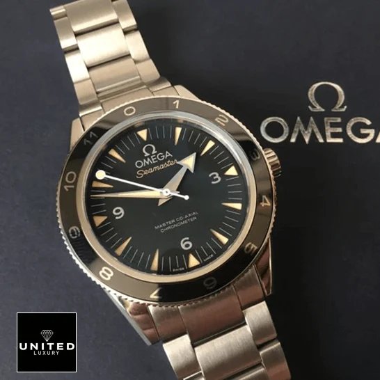 Omega Seamaster 233.32.41.21.01.001 Omega Seamaster Black Dial Stainless Steel Replica on the omega box