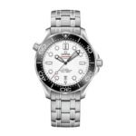 Omega Seamaster Diver 210.30.42.20.03.001 Perfect Clone Quality